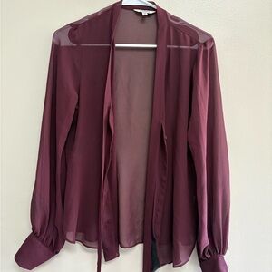 Express Sheer Plum Blouse